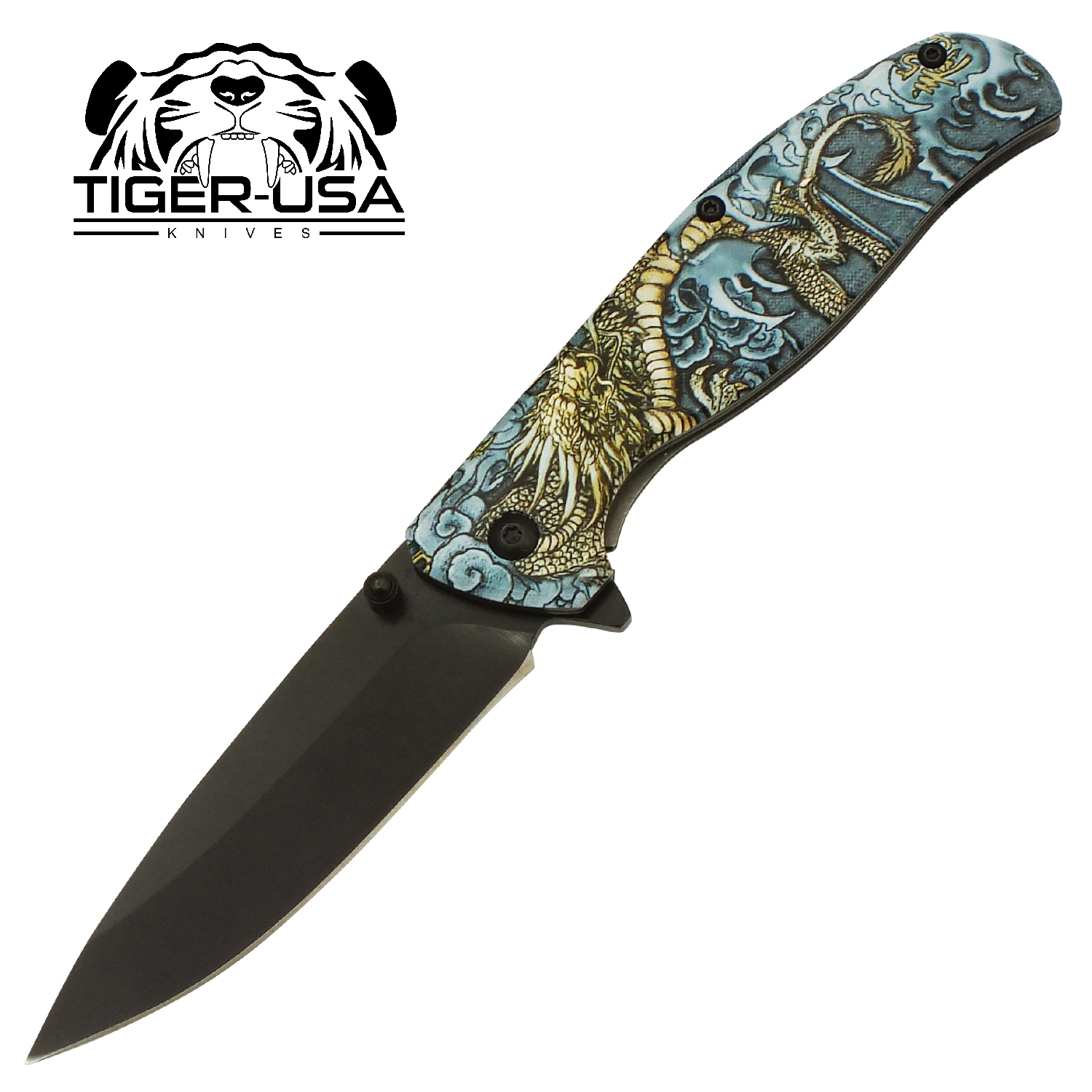 Storm Dragon's Wrath Spring Assisted Folding Knife